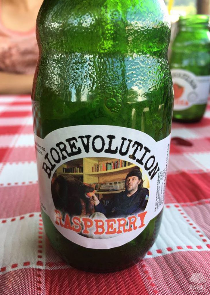 sok z kusturicą, kustendorf