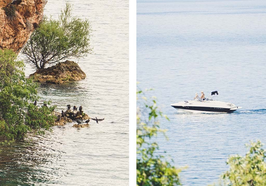 fauna jeziora ochrydzkiego