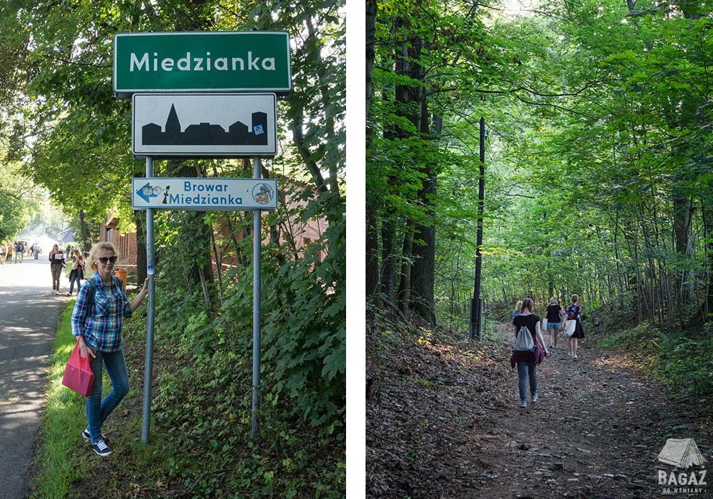tablica miejska Miedzianki i okoliczne lasy