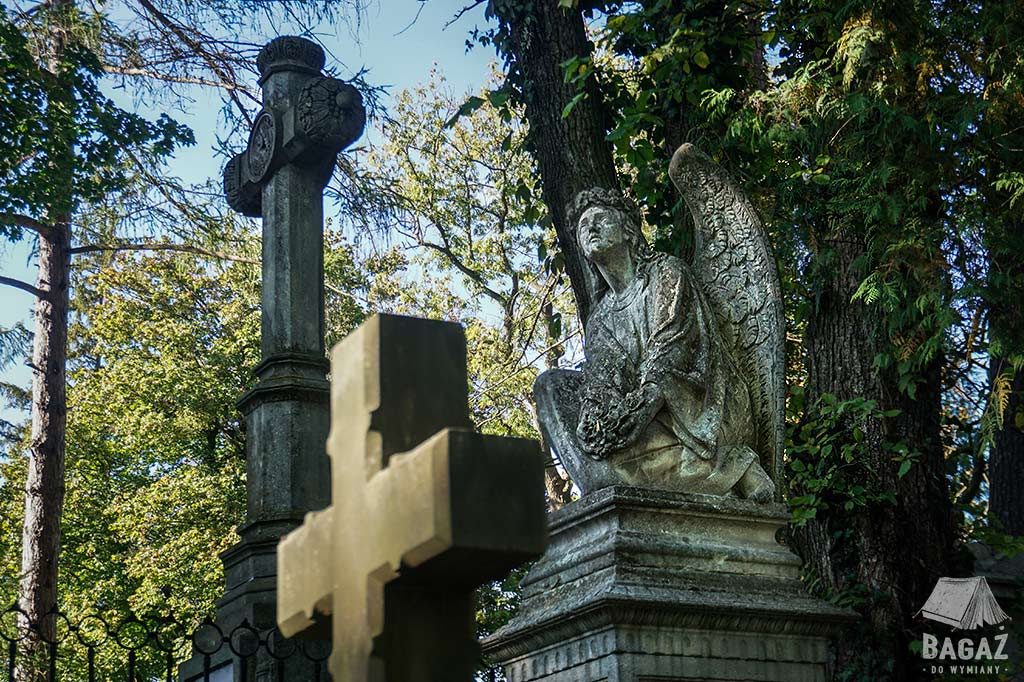cmentarz łyczakowski we lwowie