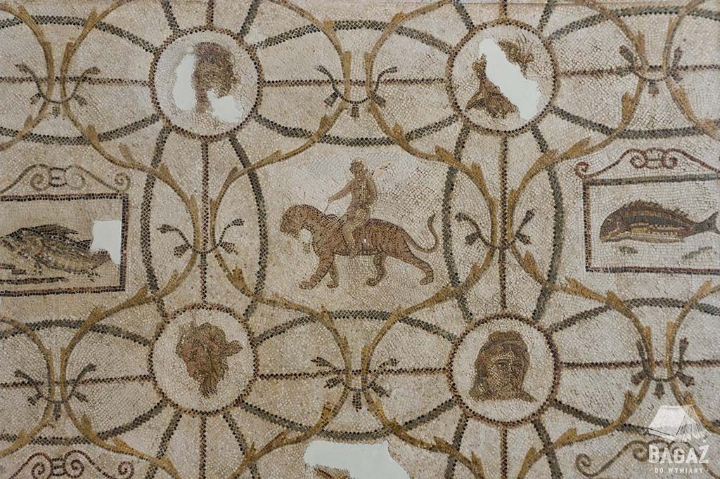 mozaika w muzeum w Tunezji