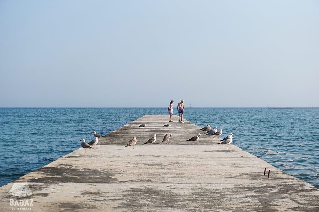 dwie osoby i mewy na betonowym pomoście przy brzegu morza w bułgarskiej miejscowości Bałczik