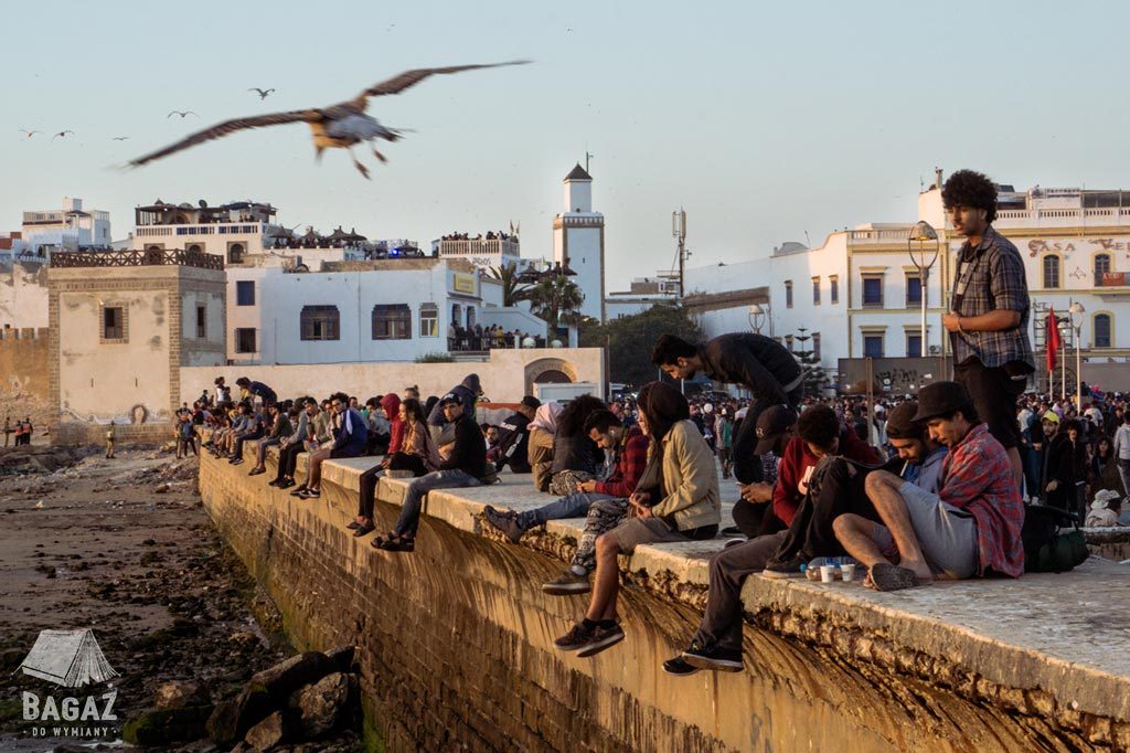 młodzi ludzie i przelatująca mewa podczas festiwalu muzyki gnaoua w mieście essaouira