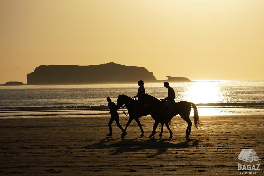 romantyczna przejażdżka konna na tle zachodzącego słońca i wyspy Mogador u wybrzeża Essaouiry