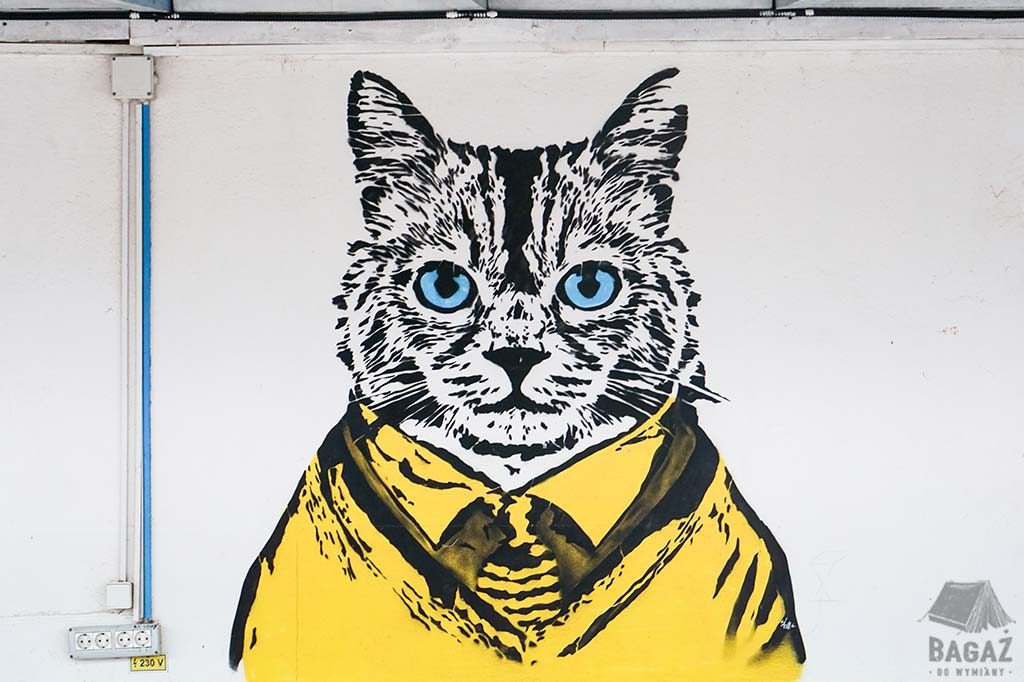 graffiti z kotem w rumuńskim vama veche