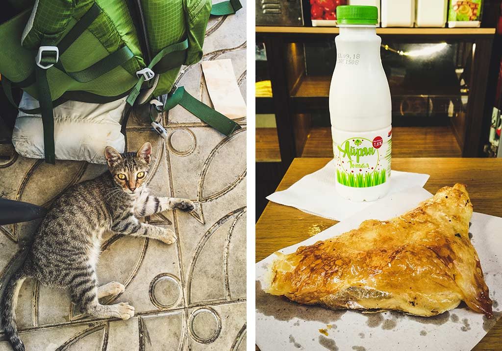 kot, sirene i ajran w Burgas