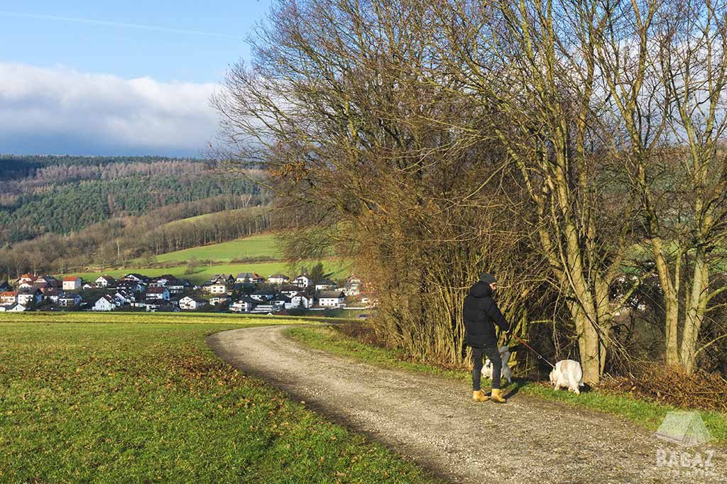 mężczyzna spacerujący z 2 psami po niemieckiej wsi