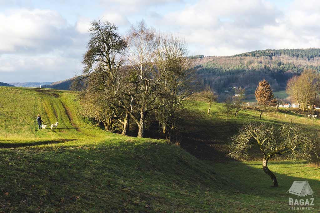 spacer z psami podczas house sittingu