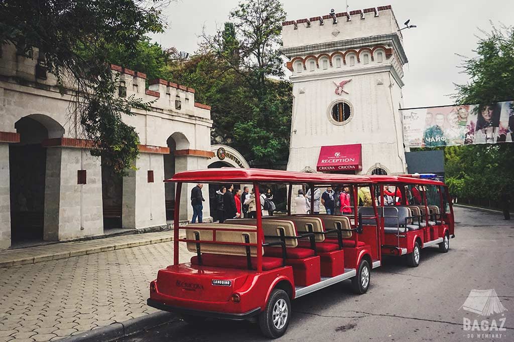 recepcja i turystyczne meleksy przed winnicą cricova w mołdawii
